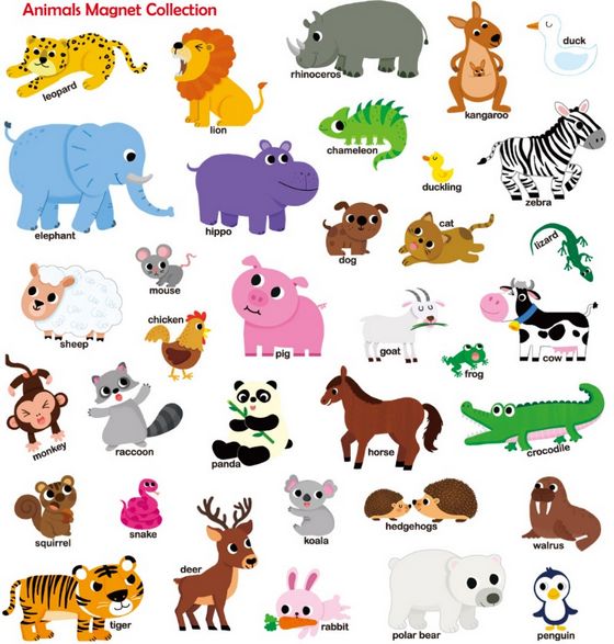 First Magnet Book：Animals（內含35個認知磁鐵+3摺頁超大場景）